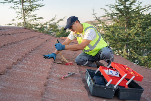 Best Gutter Installation and Roofing  in Nazareth College, NY